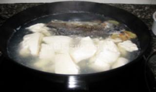 蒲菜豆腐汤的做法